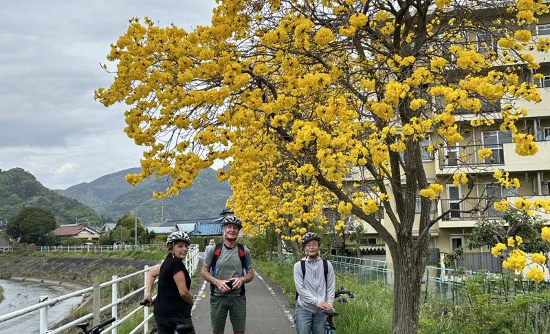 Mariko River