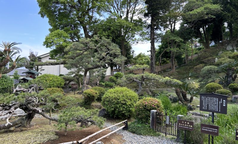 Ryugeji Garden