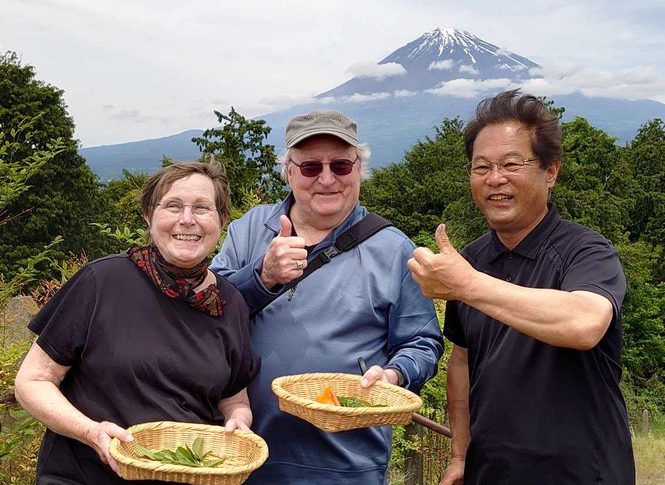 Yamataka Sakurai Tea Farm