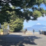 Miho pine tree & the beach