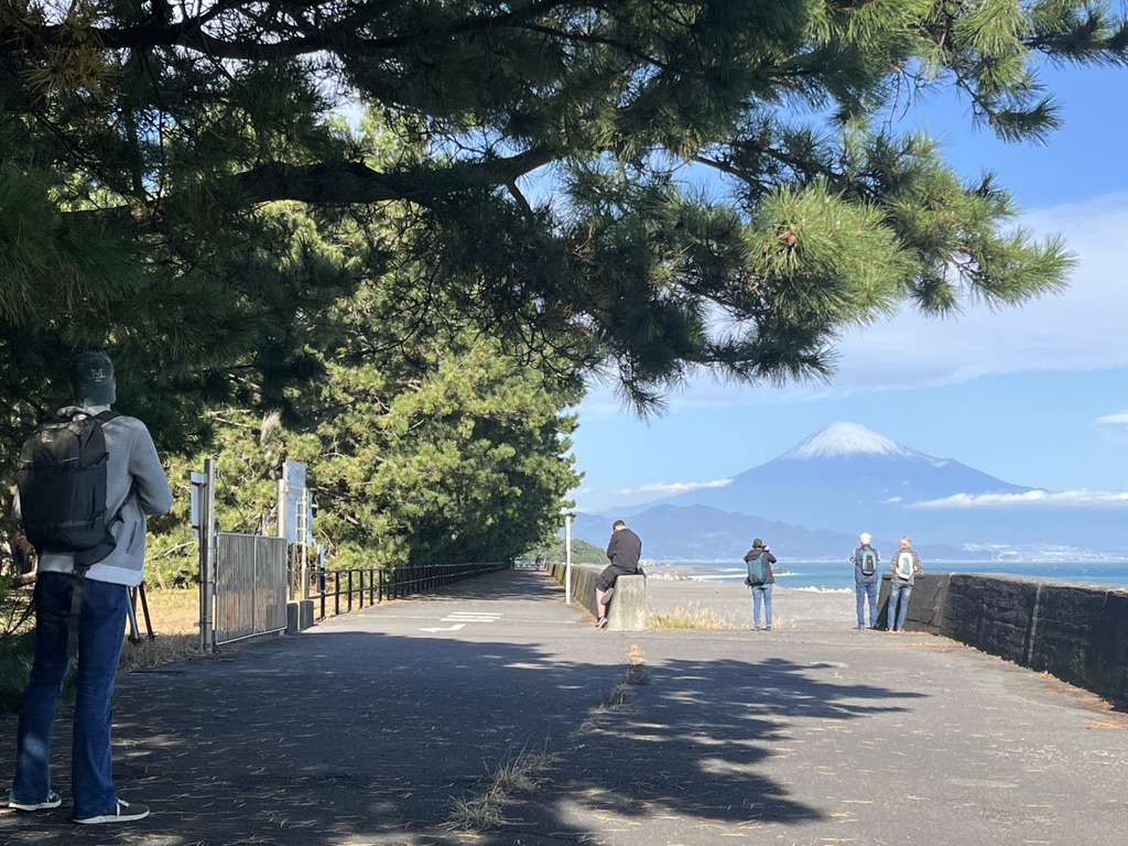 Miho pine tree & the beach