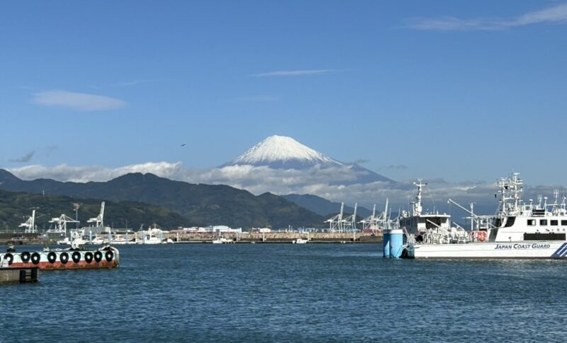 Shimizu Port